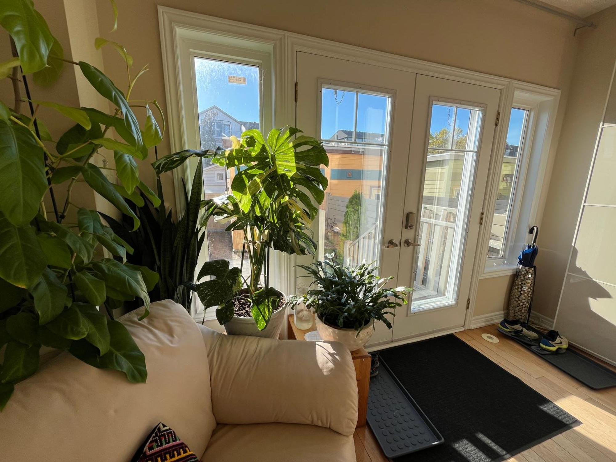 Stunning Rooms In Townhouse Across The Beach Торонто Экстерьер фото